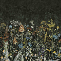 AROMATICO 6 AROMATICO 6